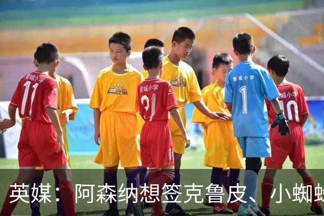 英媒：阿森纳想签克鲁皮、小蜘蛛、罗杰斯，均面临与巴黎的竞争